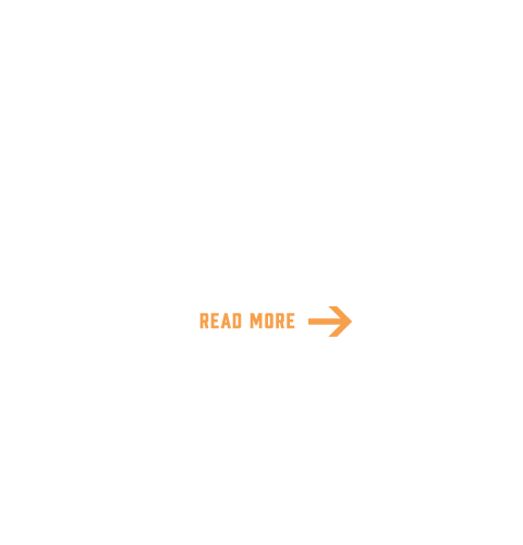 bnrhalf_works_cover
