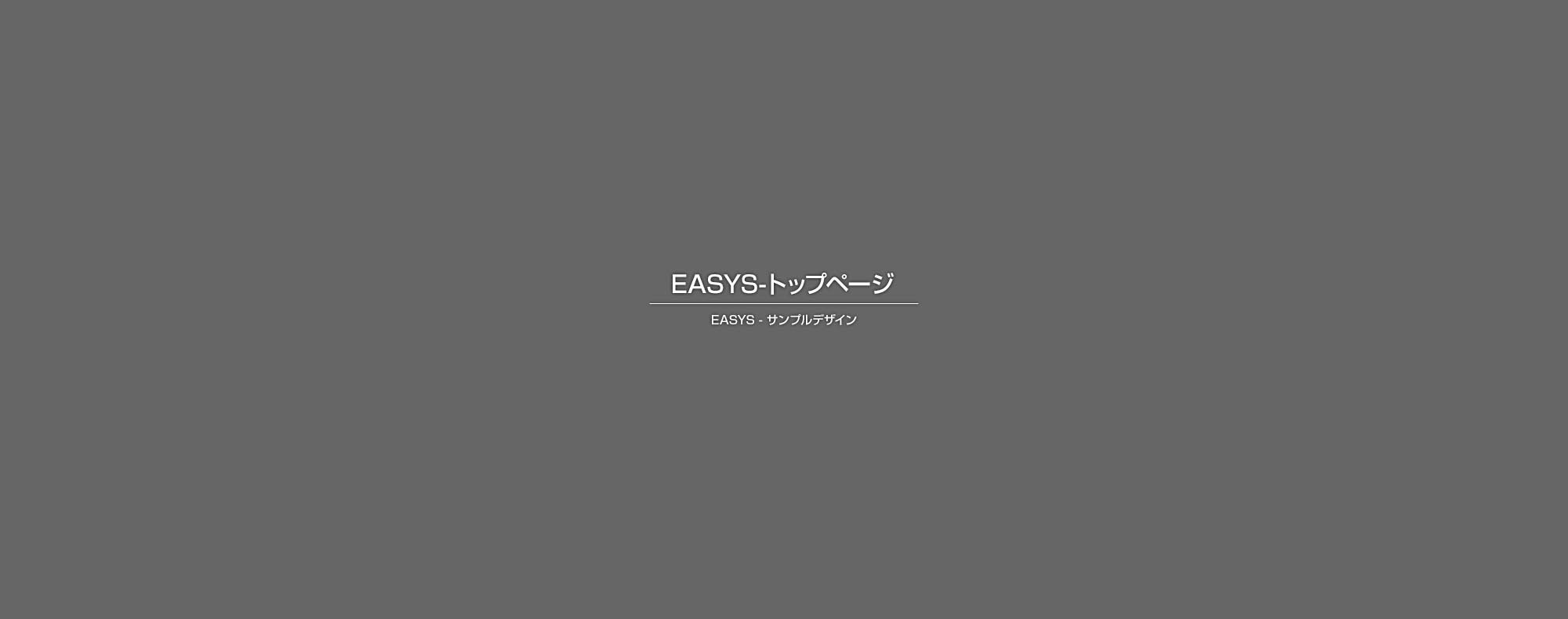 実績②
